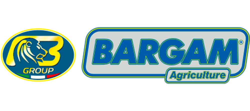 Bargam